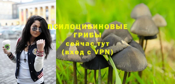 mdpv Богородицк