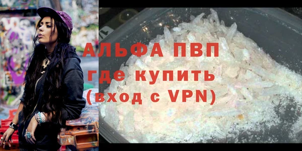 mdpv Богородицк