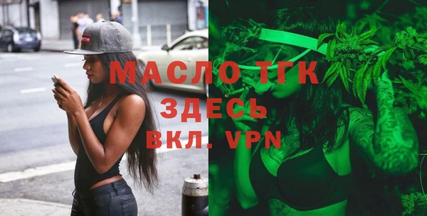 шишки Сатка