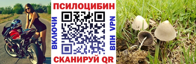 где можно купить Бирюч Псилоцибиновые грибы мухоморы